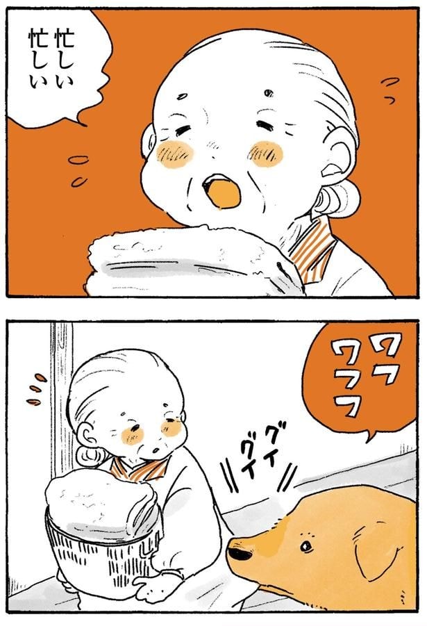 忙しい忙しい