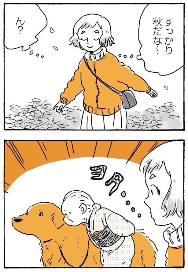 すっかり秋だな～