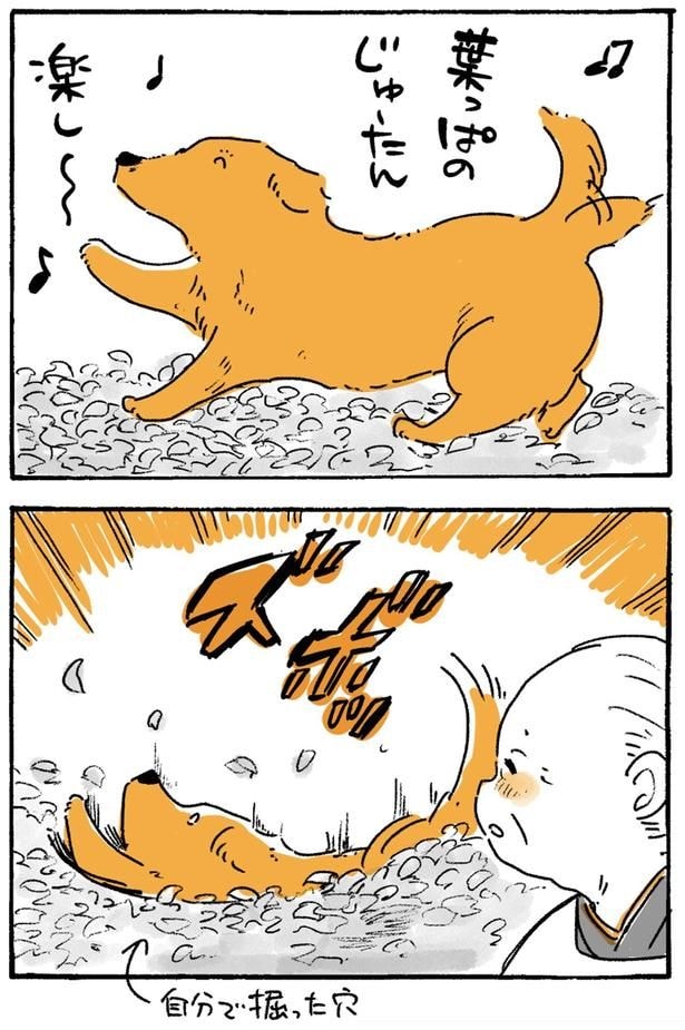 ズボッ