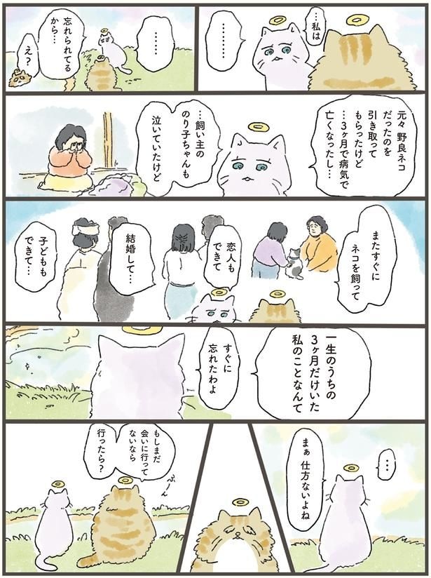 忘れられてるから…