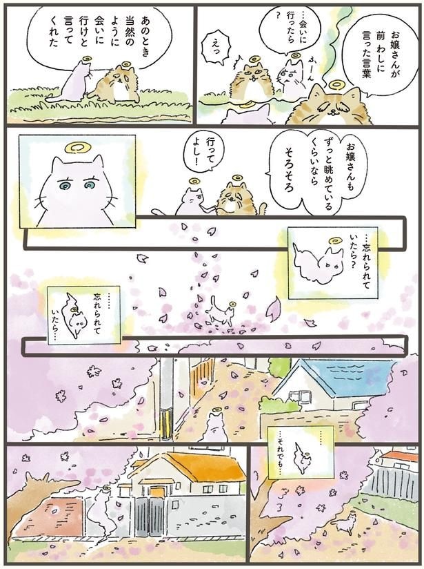 ずっと眺めているくらいならそろそろ行ってよし!