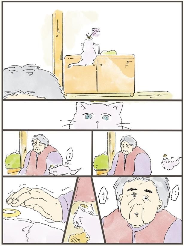 飼い主に擦り寄るさくら