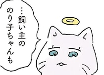 わずか3ヶ月の絆。それでも猫が忘れなかった、飼い主とのあたたかな思い出