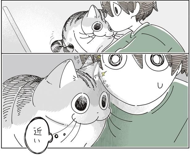 近い