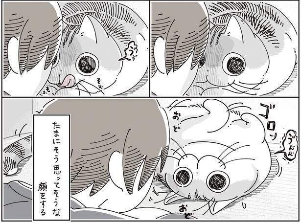 たまにそう思ってそう