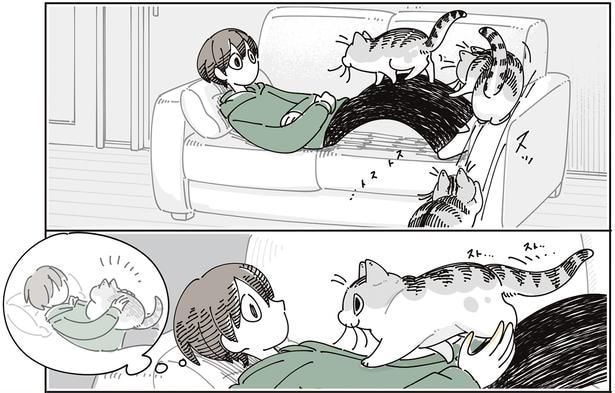 お腹の上に
