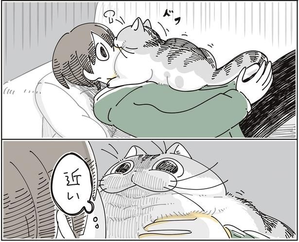 近い…