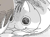 ち、近い！ とんでもなく激近なのに表情ひとつ変えないネコ、自分で近いとは思わないのかな