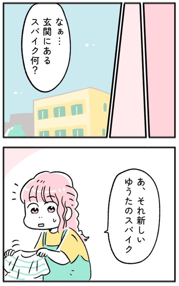 玄関にあるスパイク何？