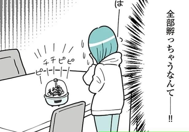 『うずら男〜モラハラかまって夫が人間をやめるまで〜』より
