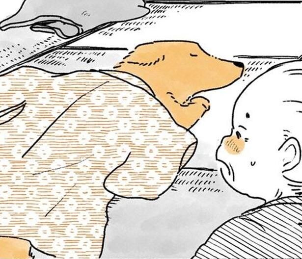 着物にくるまるレトリバー