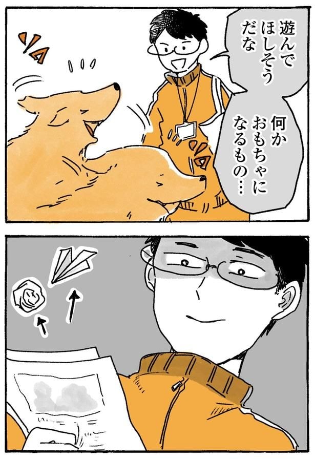 何かおもちゃになるもの…