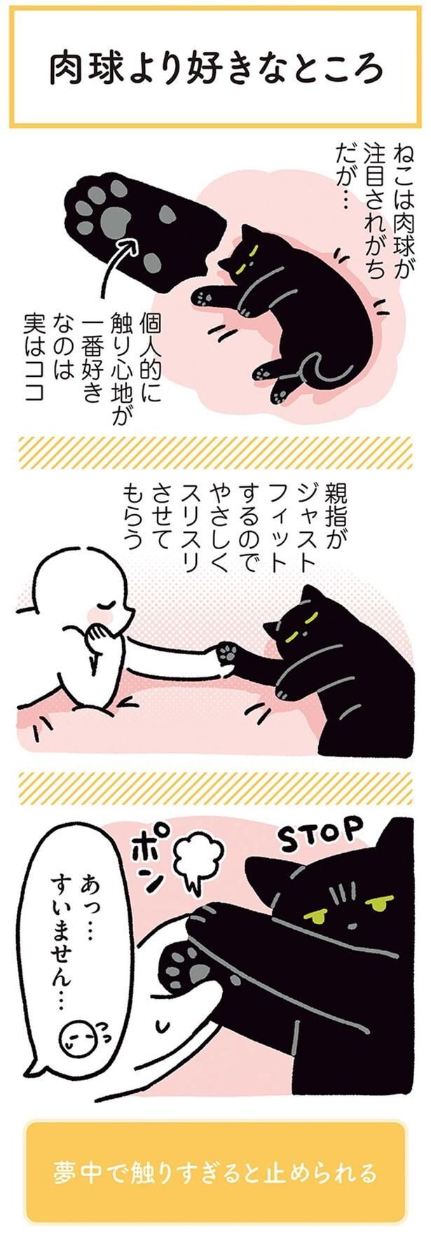 あっ…すいません…