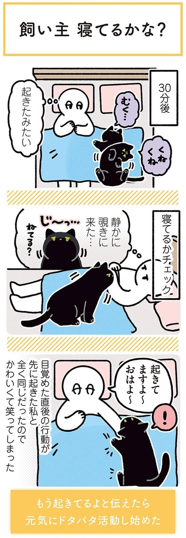 静かに覗きに来た…