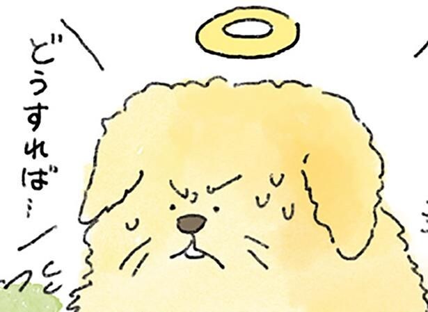 守ってやらないと