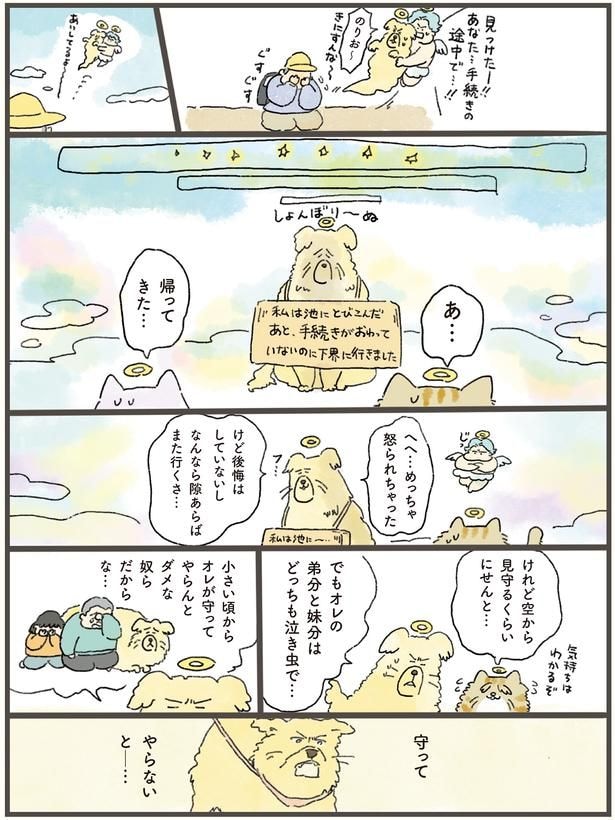 あ…帰ってきた…