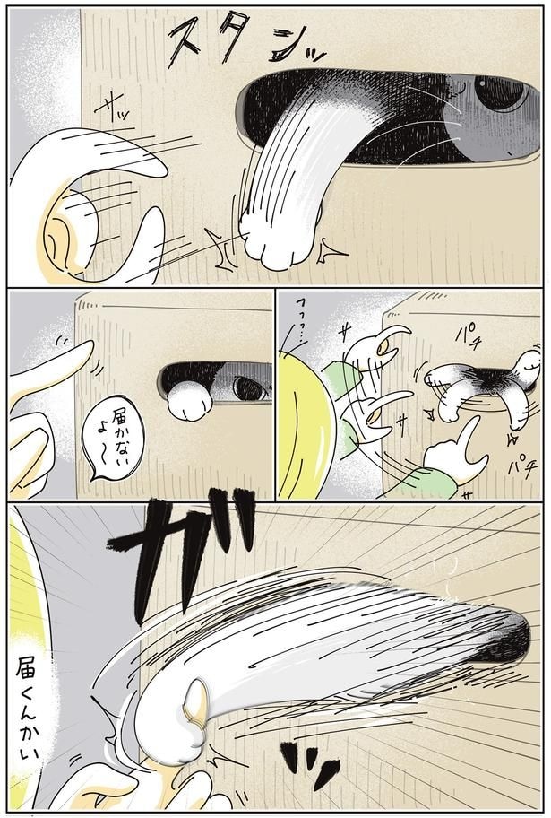 届くんかい