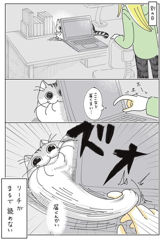 読めない