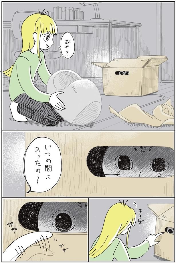おや？