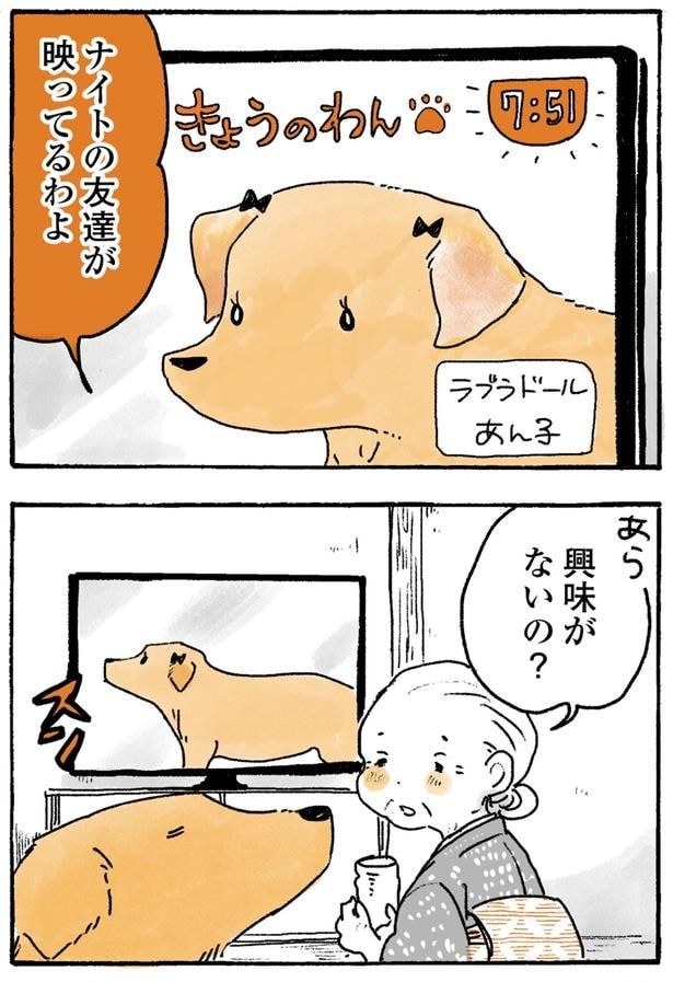 興味がないの?