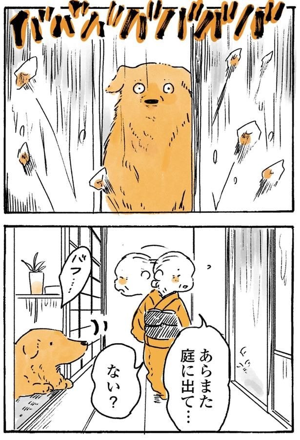 庭に出て…ない?