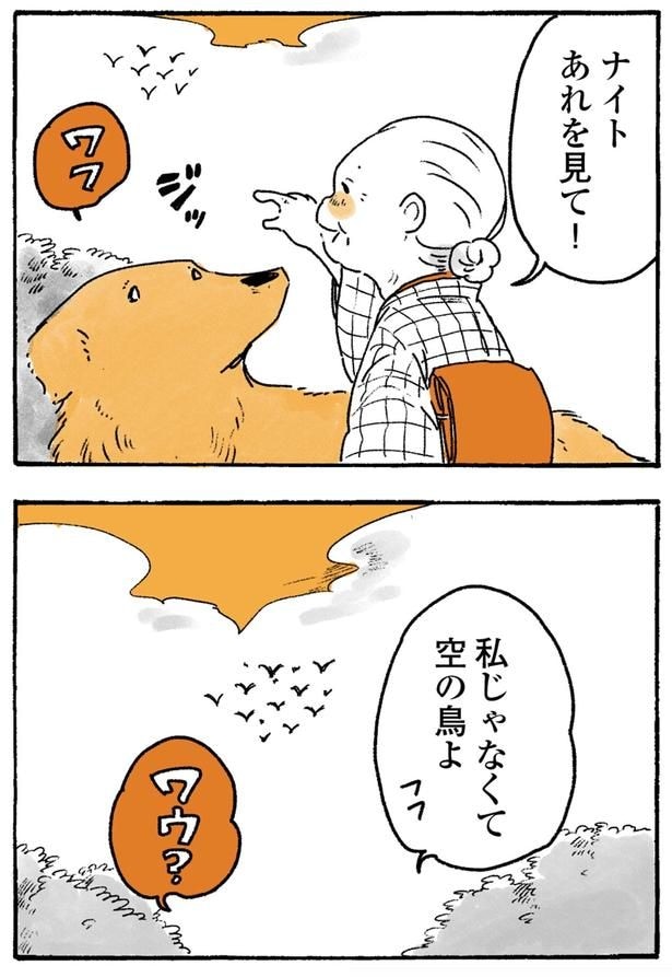 あれを見て