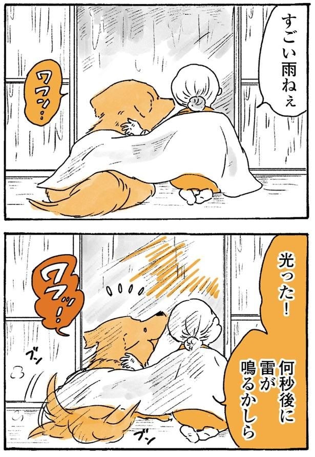 すごい雨ねぇ