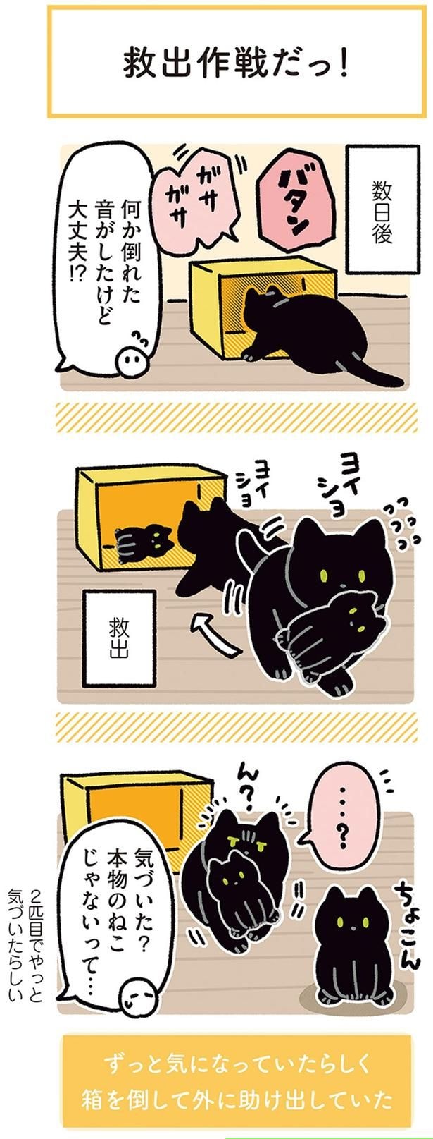 気づいた?