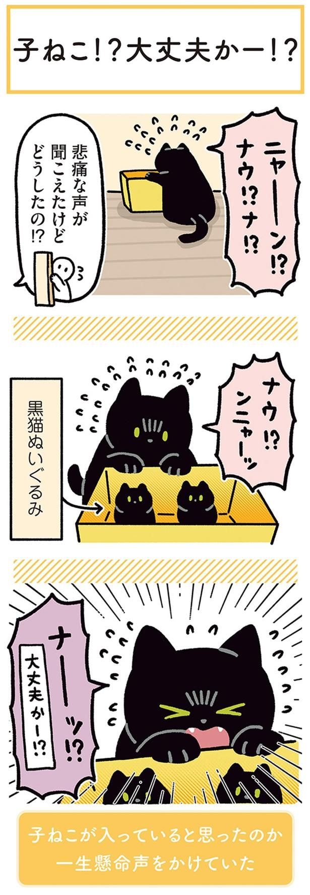 悲痛な声が聞こえたけどどうしたの!?