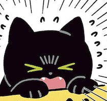 子猫、大丈夫!?黒猫ろんが必死で声をかけていたのは