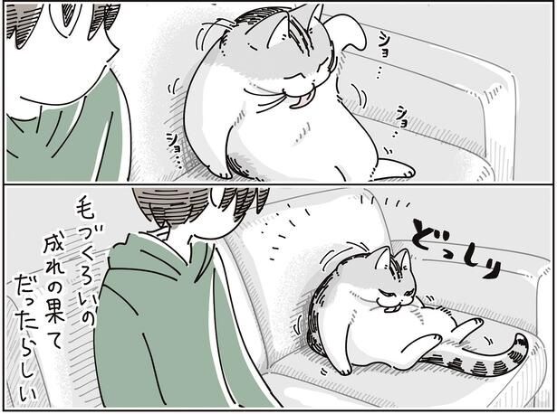 毛づくろいの成れの果て