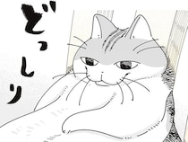 人みたいにどっしり座っているネコ。どうやったらその座り方になるのか