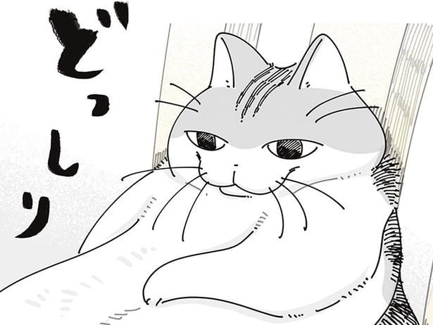 人みたいにどっしり座っているネコ。どうやったらその座り方になるのか