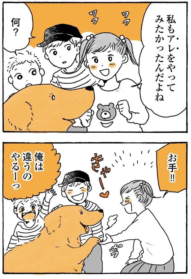お手！！