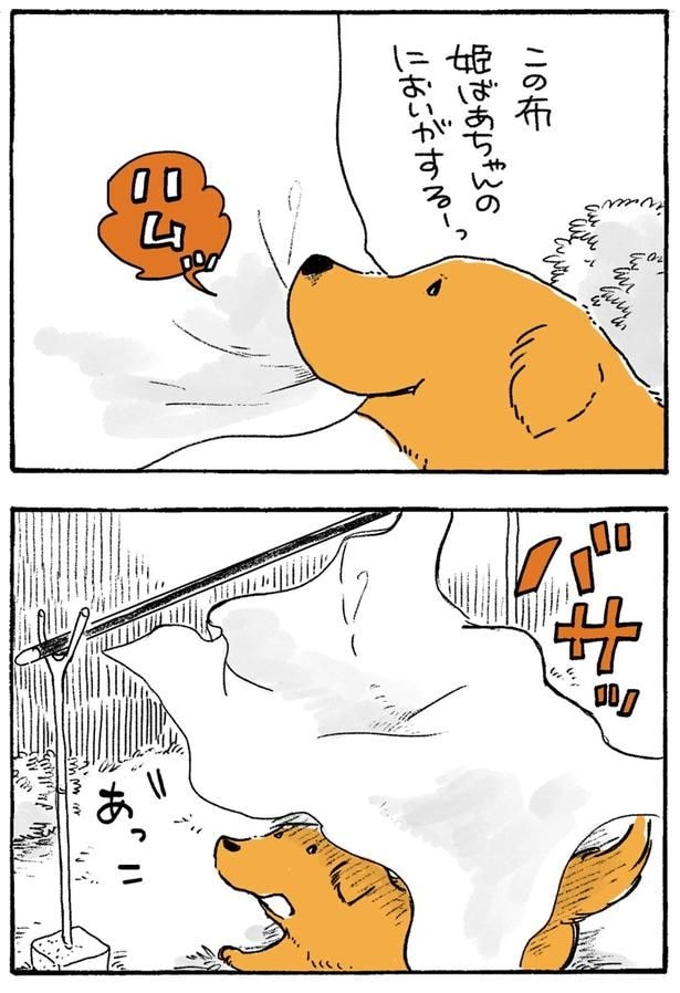 バサッ