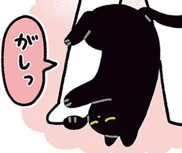冷えた足先もぽかぽか。冬にうれしい黒猫ろんとの就寝スタイル