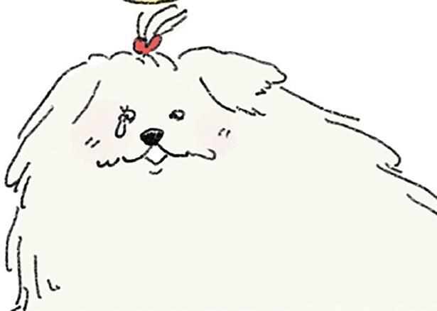 ただいま私の家
