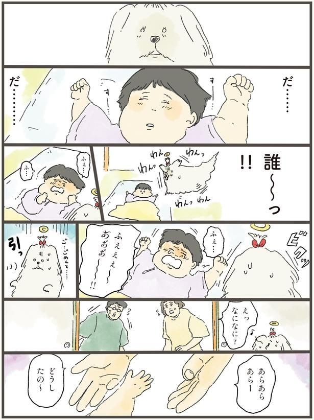 えっなになに?