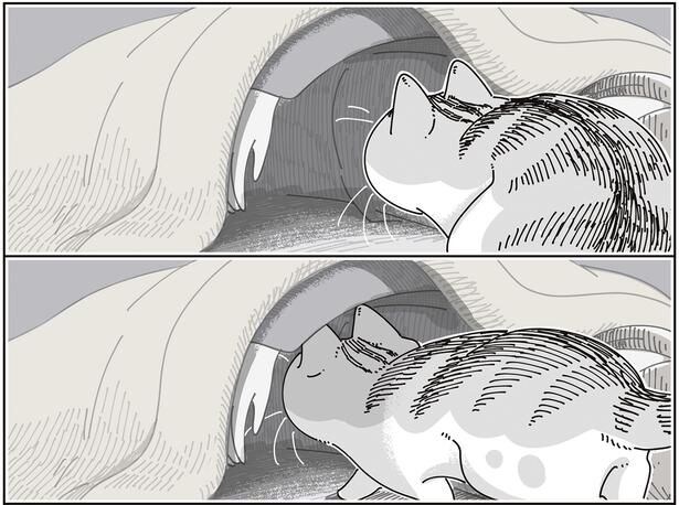 布団の中に…