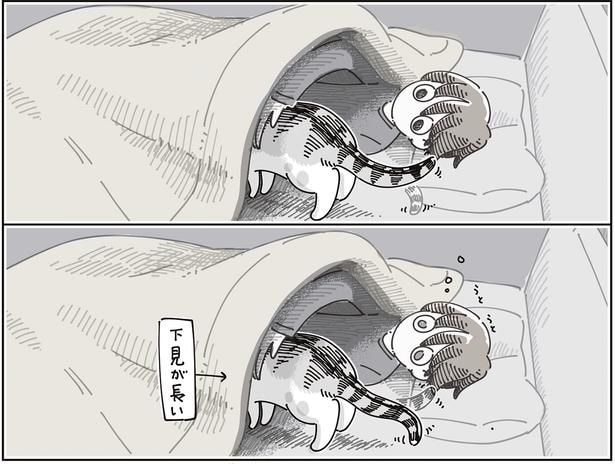 下見が長い