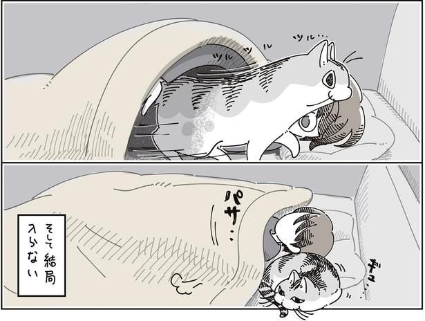 結局入らない