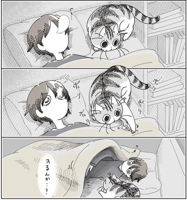 入るんか…?