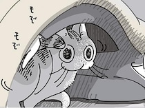 「入るのか？」飼い主が眠る布団をチェック。下見がとにかく長いネコ