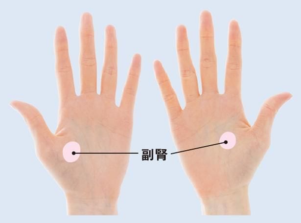 副腎