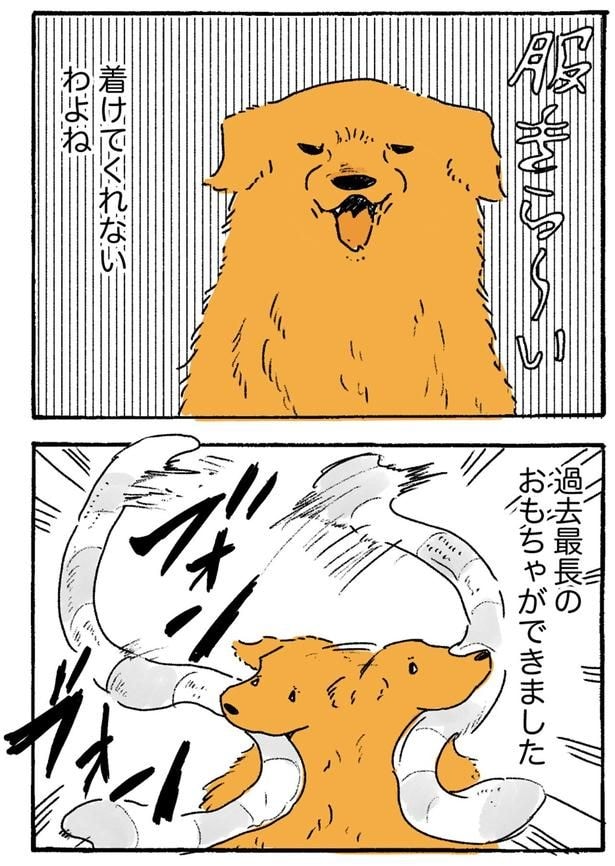 着てくれないわよね