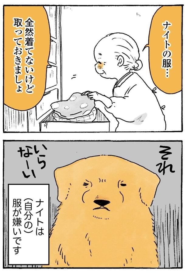 それいらなーい