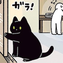 大事な書類がない！！飼い主のピンチに黒猫ろんが神対応