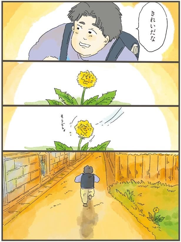 きれいだな