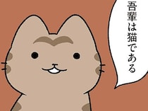 【吾輩は猫であるというねこ】胸を張って主張するねこ。名前はまだない？