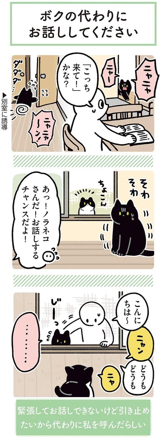 「こっち来て!」かな?
